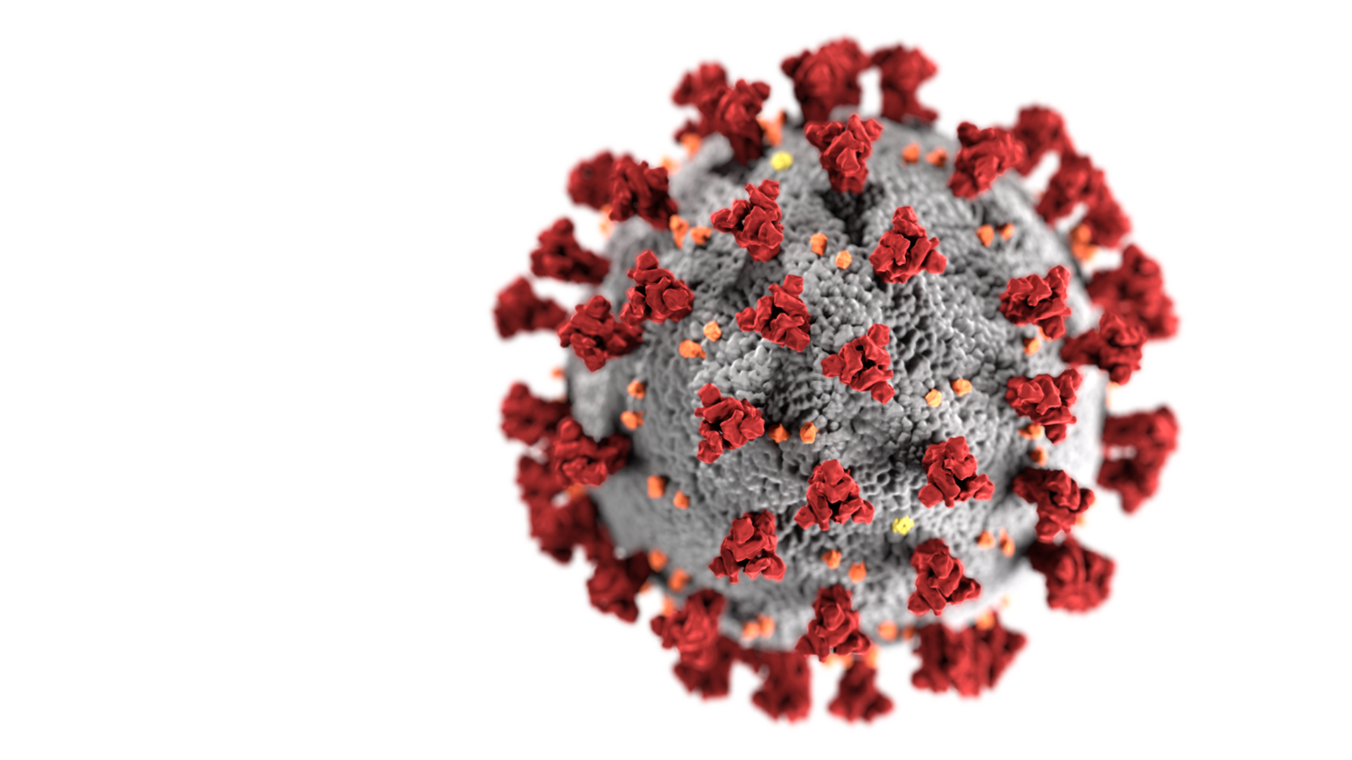 coronavirus