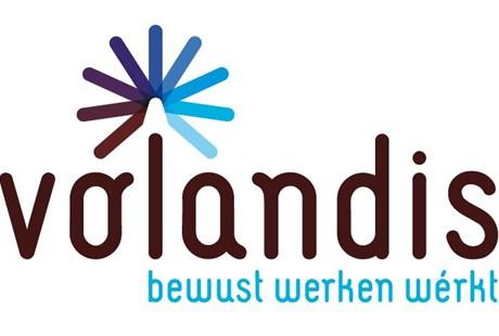 logo volandis