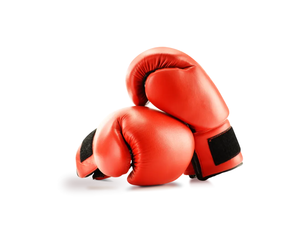 Boks handschoenen 