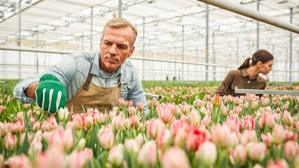 Belang van coronatest