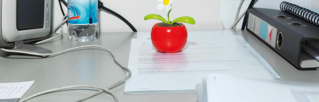 Meer regie, minder kosten als eigenrisicodrager voor Ziektewet en WGA