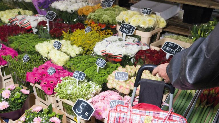 Veiligheid bij Verbeek en Bol, handelshuis in bloemen en planten