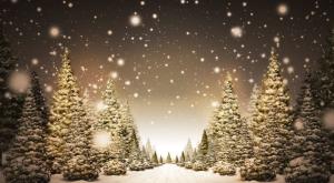 Gewijzigde openingstijden rond Kerst en Nieuwjaar