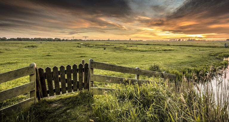 wij zoeken enthousiaste artsen in Groningen