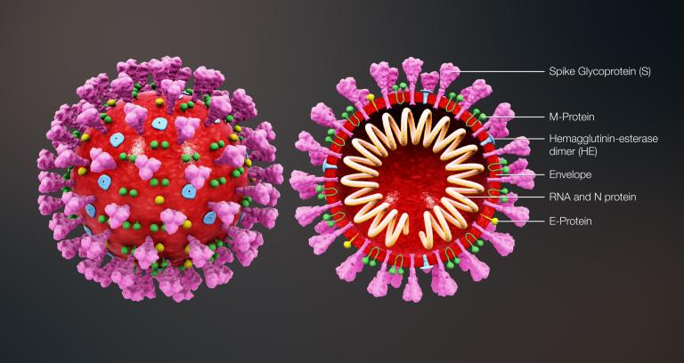 Geen klachten en toch thuis door het coronavirus