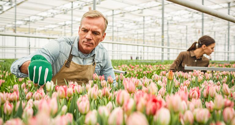 controle Nederlandse arbeidsinspectie